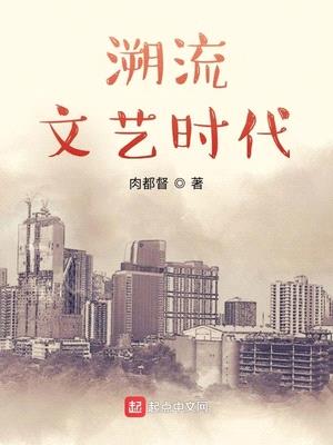 溯流文艺时代封面